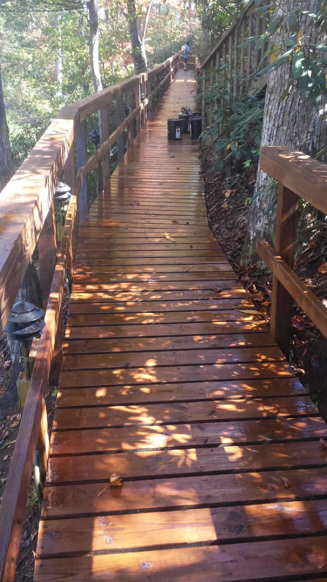 Freshly stained wood walkway winding through the woods in Traverse City