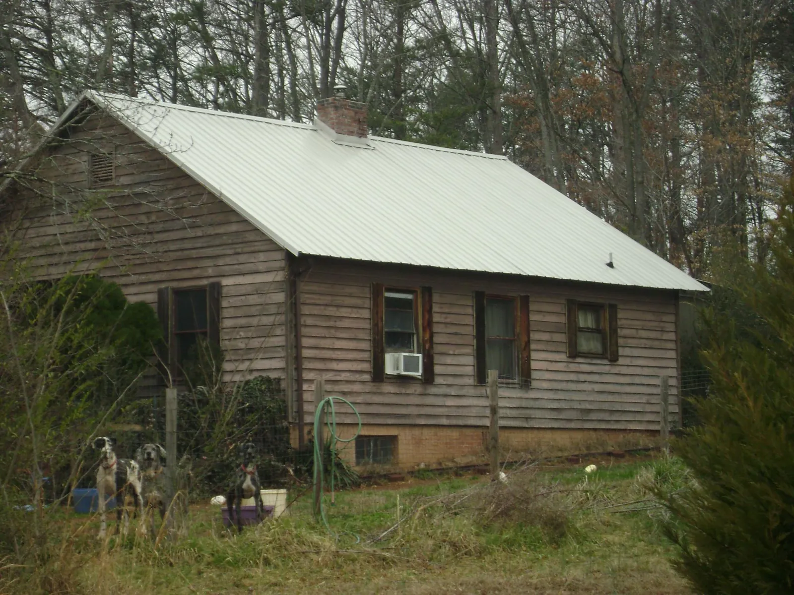 White metal roof on an old wood sided farmhouse, from a Asphalt Shingle Roof Repair job in Traverse City